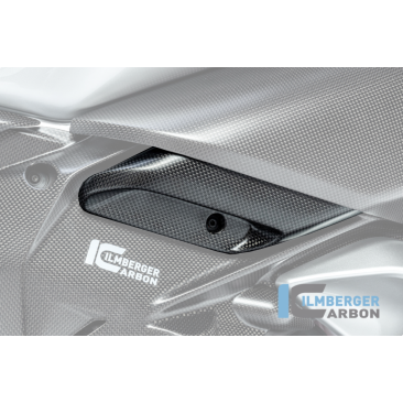 Carbon Fiber Air Outlet by Ilmberger Carbon