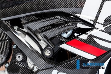 Carbon Fiber Right Side Air Outlet by Ilmberger Carbon BMW / M1000RR / 2021
