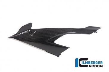 Carbon Fiber Left Side Panel by Ilmberger Carbon