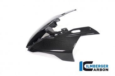 Carbon Fiber Front Fairing by Ilmberger Carbon