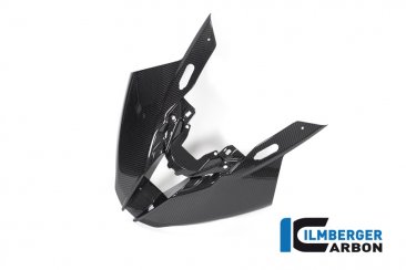 Carbon Fiber Front Fairing by Ilmberger Carbon