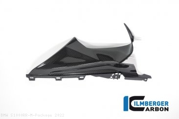 Carbon Fiber Right Side Inner Fairing by Ilmberger Carbon BMW / S1000RR M Package / 2022