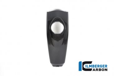 Carbon Fiber Tank Cover by Ilmberger Carbon