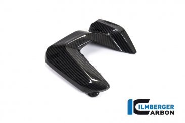 Carbon Fiber Spark Plug Cover by Ilmberger Carbon