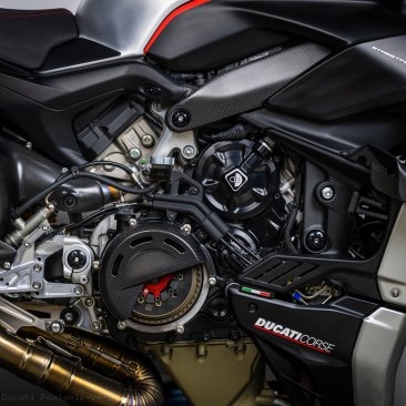  Ducati / Panigale V4 S / 2020