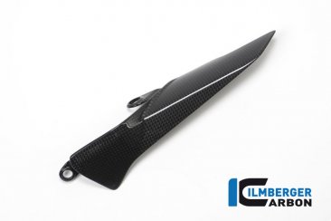 Carbon Fiber Chain Guard by Ilmberger Carbon