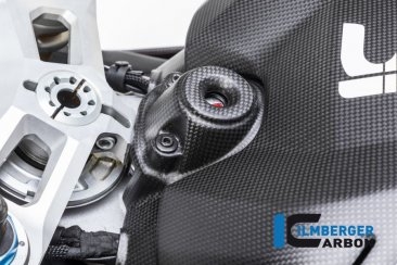 Carbon Fiber Ignition Cover by Ilmberger Carbon Ducati / Panigale V4 R / 2019