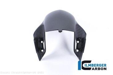 Carbon Fiber Front Fender by Ilmberger Carbon Ducati / Streetfighter V4 / 2022