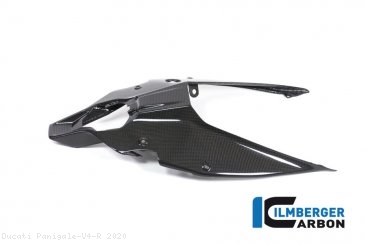 Carbon Fiber Rear Undertail Cover by Ilmberger Carbon Ducati / Panigale V4 R / 2020