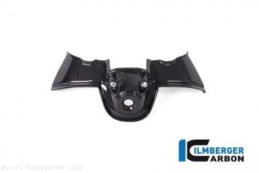 Carbon Fiber Ignition Cover by Ilmberger Carbon Ducati / Panigale V4 / 2023