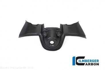 Carbon Fiber Ignition Cover by Ilmberger Carbon Ducati / Panigale V4 / 2022