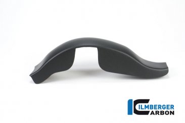 Carbon Fiber Swingarm Cover by Ilmberger Carbon