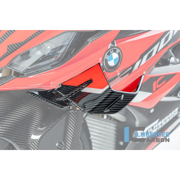 Carbon Fiber Winglet by Ilmberger Carbon