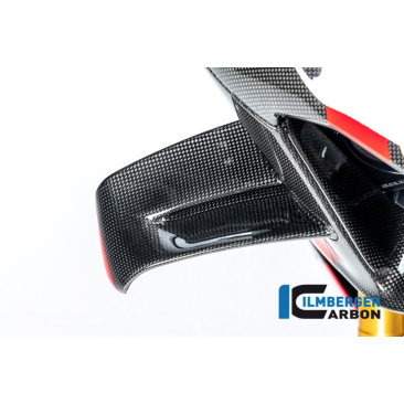 Carbon Fiber Winglet by Ilmberger Carbon