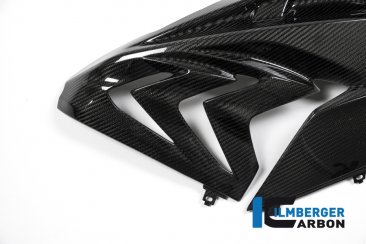 Carbon Fiber Right Side Fairing Panel by Ilmberger Carbon
