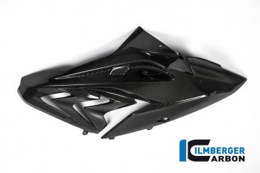 Carbon Fiber Right Side Fairing Panel by Ilmberger Carbon