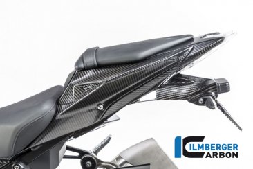 Carbon Fiber Seat Surround Set by Ilmberger Carbon