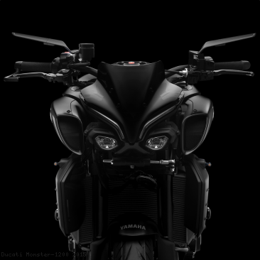  Ducati / Monster 1200 / 2015