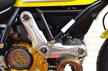 Billet Aluminum Timing Belt Covers by Ducabike Ducati / Scrambler 800 Desert Sled / 2018