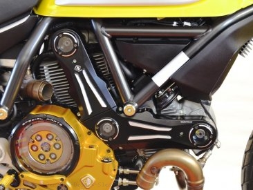 Billet Aluminum Timing Belt Covers by Ducabike Ducati / Scrambler 800 Desert Sled / 2018