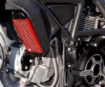 Aluminum Oil Cooler Guard by Ducabike Ducati / Scrambler 800 Cafe Racer / 2019