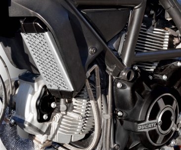 Aluminum Oil Cooler Guard by Ducabike Ducati / Scrambler 800 Cafe Racer / 2019