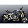  Triumph / Speed Triple 1200 RR / 2024