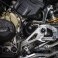 Ducati / Panigale V4 Speciale / 2019