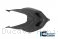 Carbon Fiber RACE VERSION Solo Seat Tail by Ilmberger Carbon Ducati / Panigale V4 R / 2021
