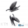  KTM / 1290 Super Adventure R / 2022
