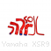  Yamaha / XSR900 / 2020