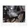 Front Fork Axle Sliders by Ducabike Ducati / XDiavel / 2020