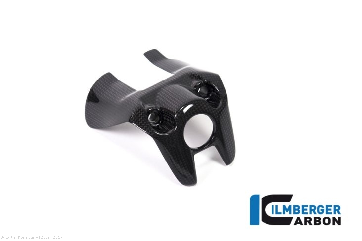 Carbon Fiber Ignition Switch Cover by Ilmberger Carbon Ducati / Monster 1200S / 2017