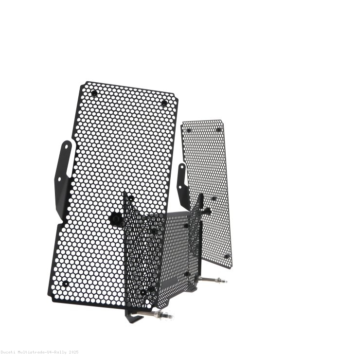 Ducati / Multistrada V4 Rally / 2025