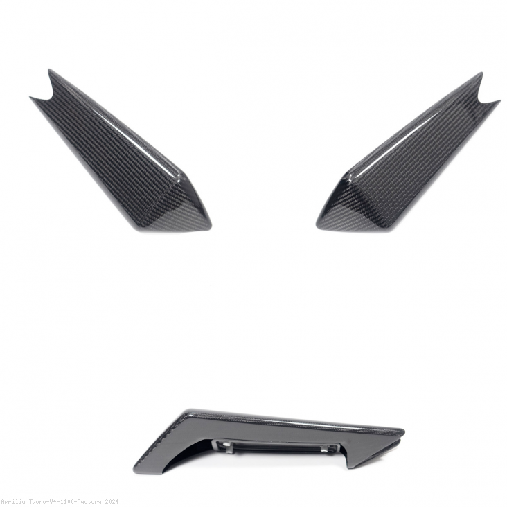 Carbon Fiber Passenger Seat Cover by Ilmberger Carbon Aprilia / Tuono V4 1100 Factory / 2024