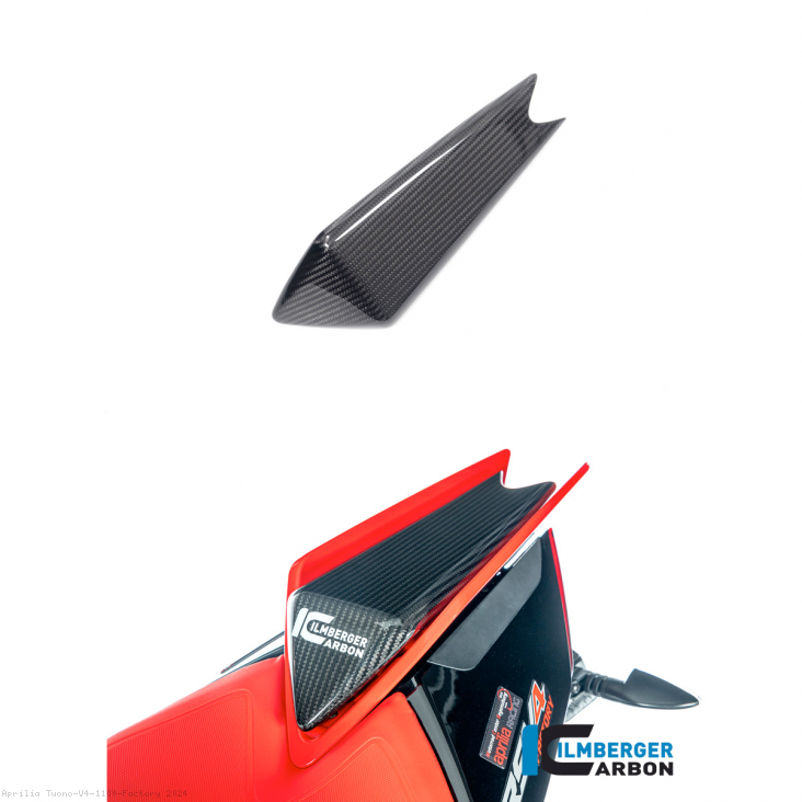 Aprilia / Tuono V4 1100 Factory / 2024