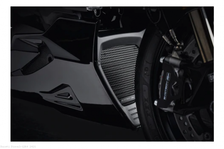Ducati / Diavel 1260 / 2021