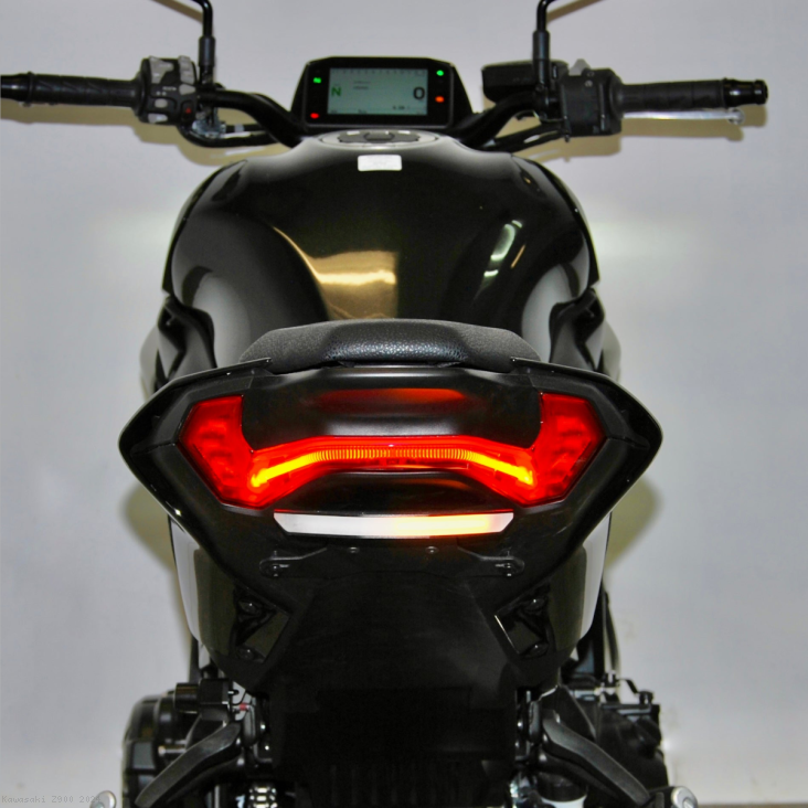 Kawasaki / Z900 / 2024