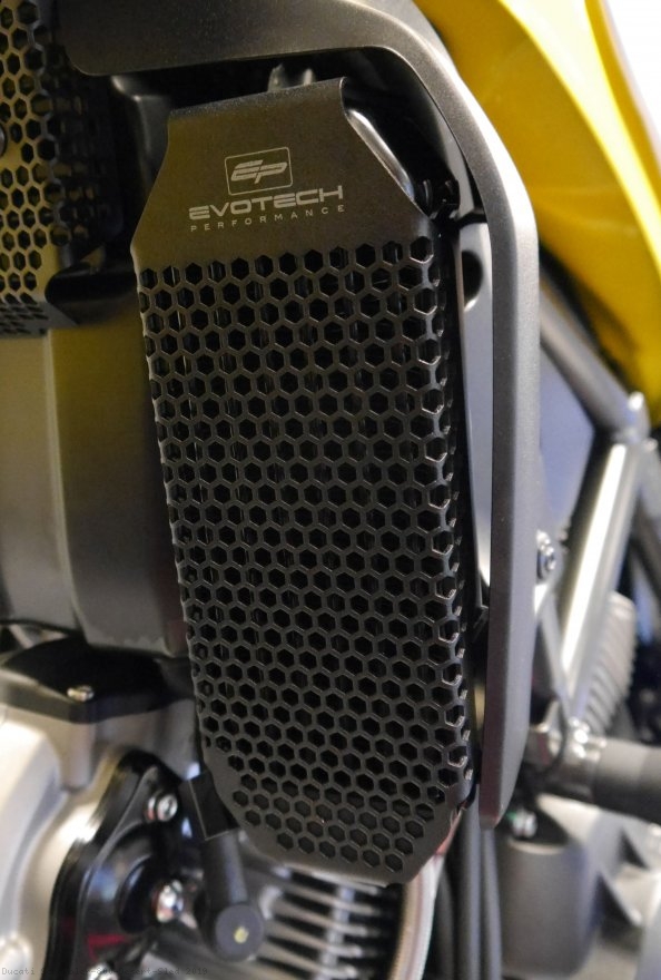 Oil Cooler Guard by Evotech Performance Ducati / Scrambler 800 Desert Sled / 2019