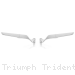  Triumph / Trident 660 / 2020