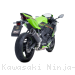  Kawasaki / Ninja ZX-4R / 2024