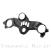  Kawasaki / Ninja ZX-10R / 2019