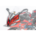 Carbon Fiber Front Fairing by Ilmberger Carbon