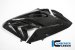 Carbon Fiber Right Side Fairing Panel by Ilmberger Carbon