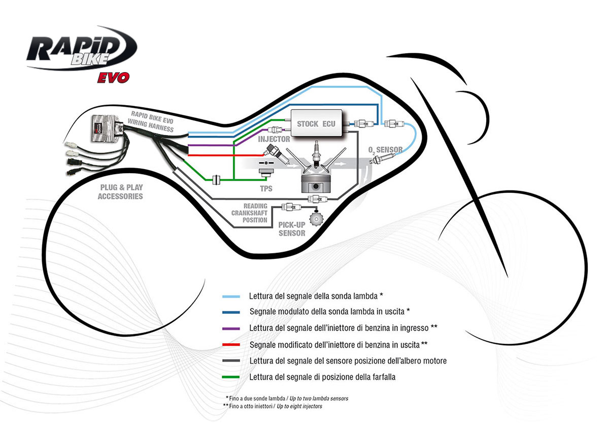 rapid bike auto tuner