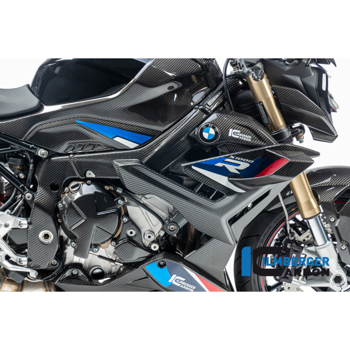 BMW M1000R Carbon Fiber Winglets (Read Description)