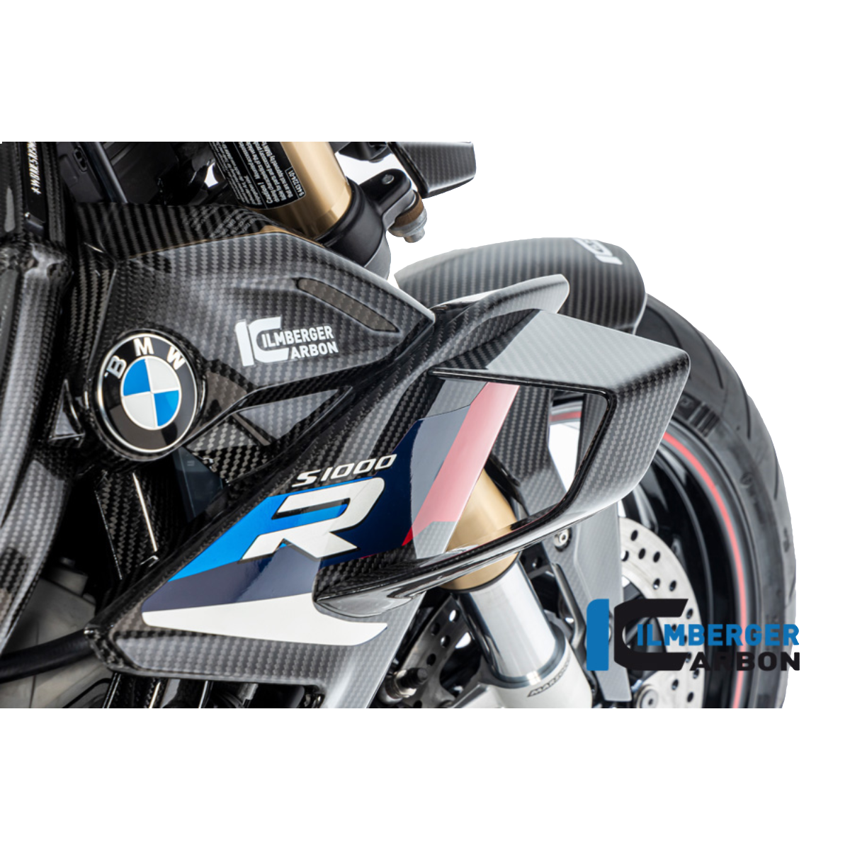 BMW M1000R Carbon Fiber Winglets (Read Description)