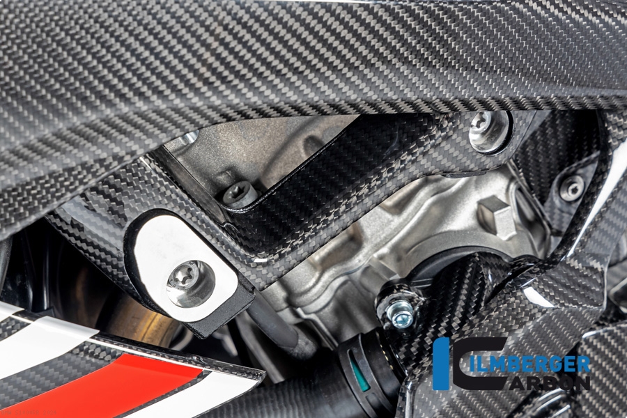Carbon Fiber Left Side Large M Version Frame Cover by