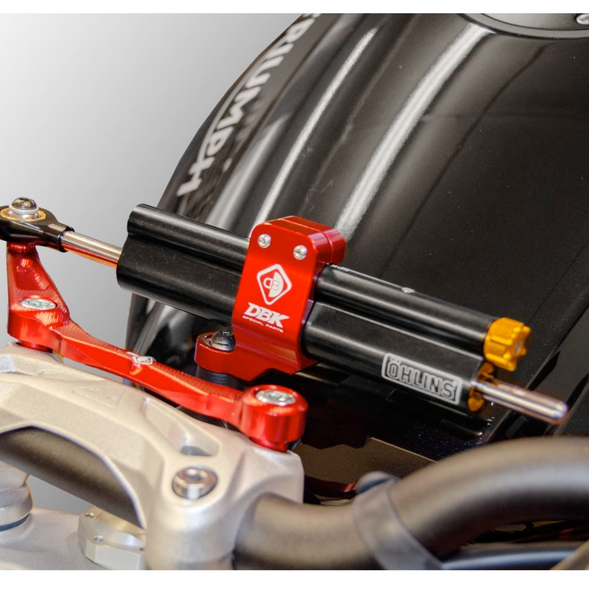 Ohlins Steering Damper Kit by DBK Special Parts (SAS20)