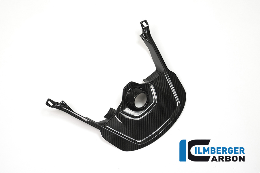 Carbon Fiber Ignition Cover by Ilmberger Carbon (ZSA.009.S10XR.K)